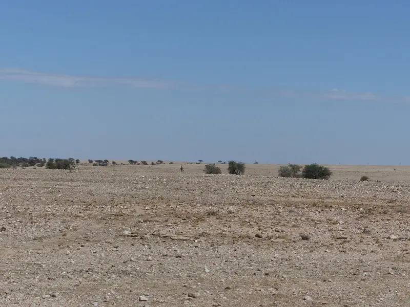 h356d69c.jpg