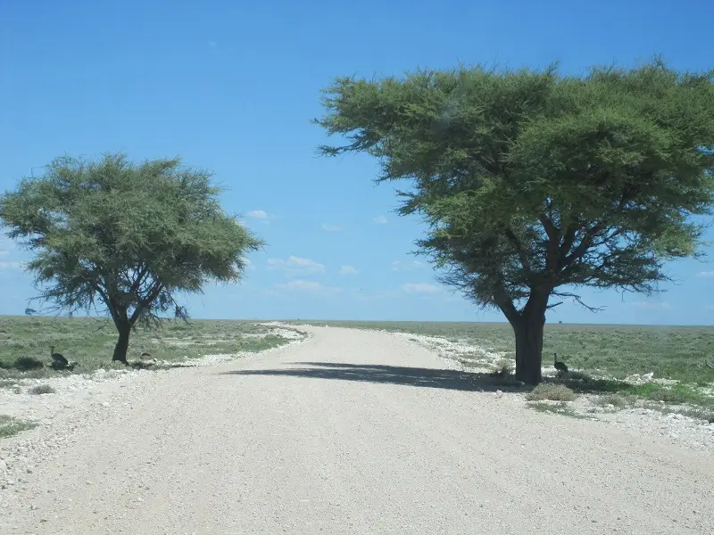h41b07b8.jpg