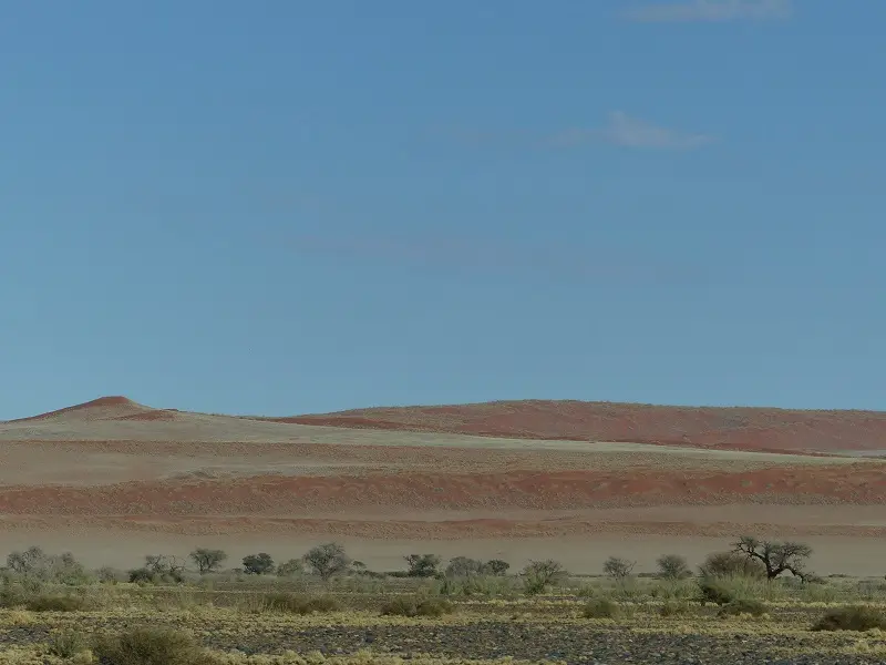 h9532961.jpg