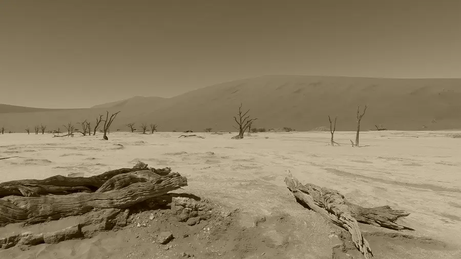 hd0e7efc.jpg