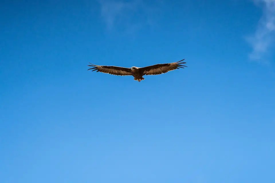 200830155.jpg