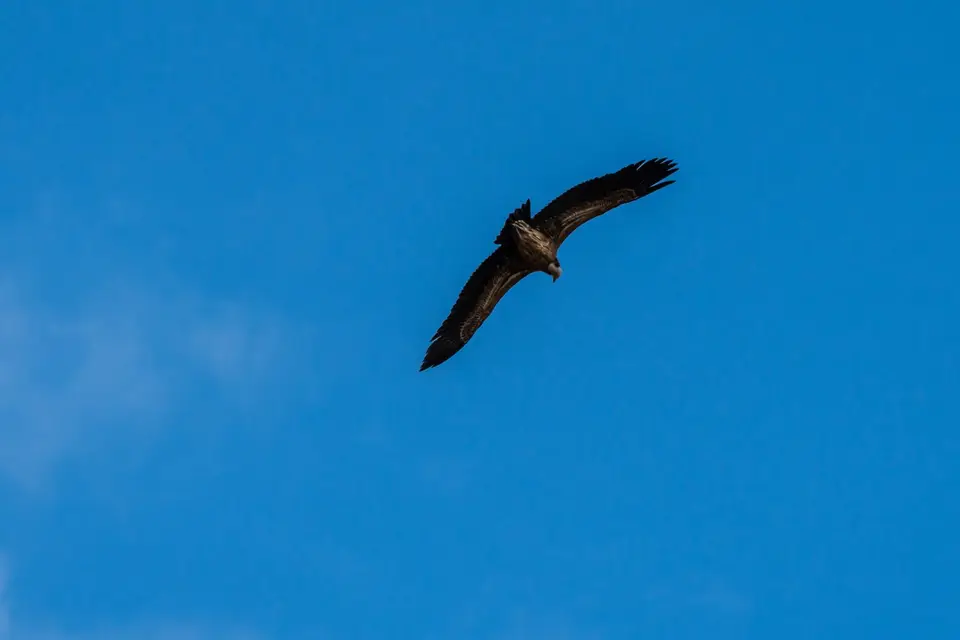 200901160.jpg