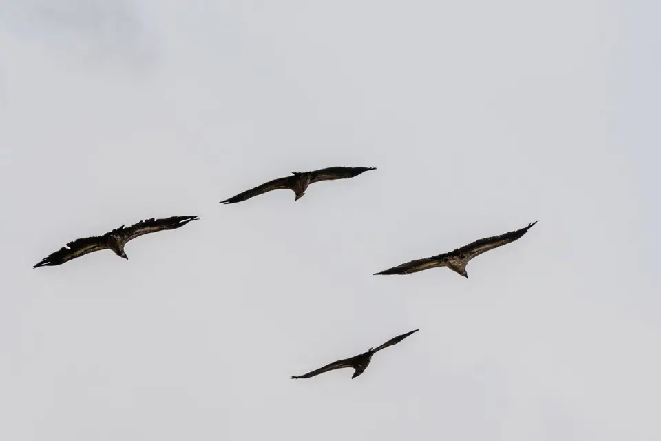 200901164.jpg