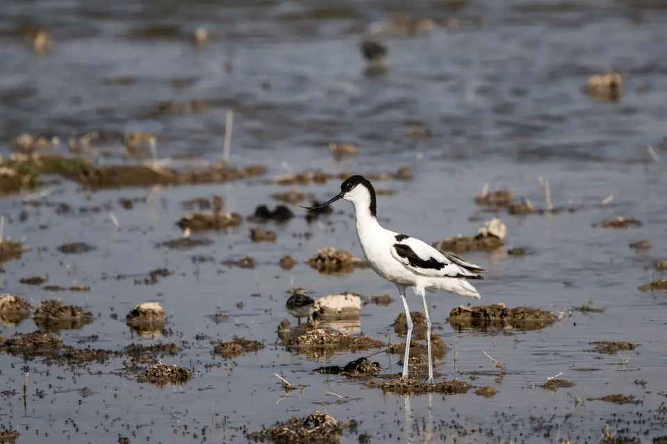 200901358.jpg