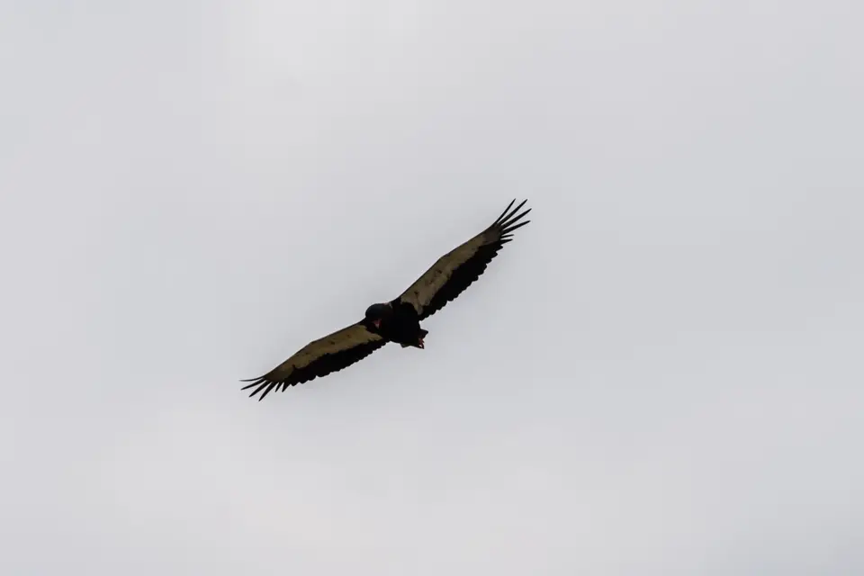 200906211.jpg