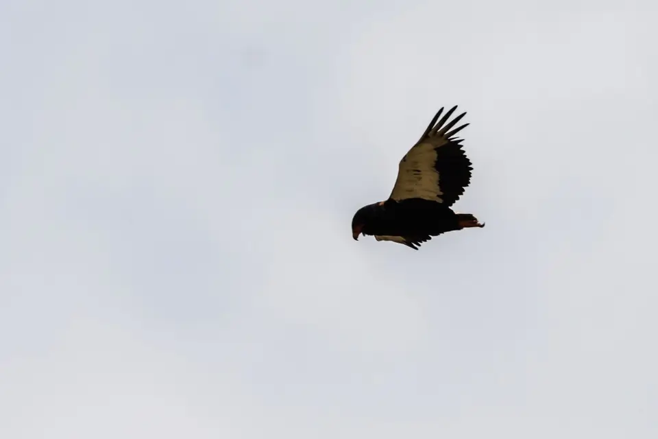 200906213.jpg