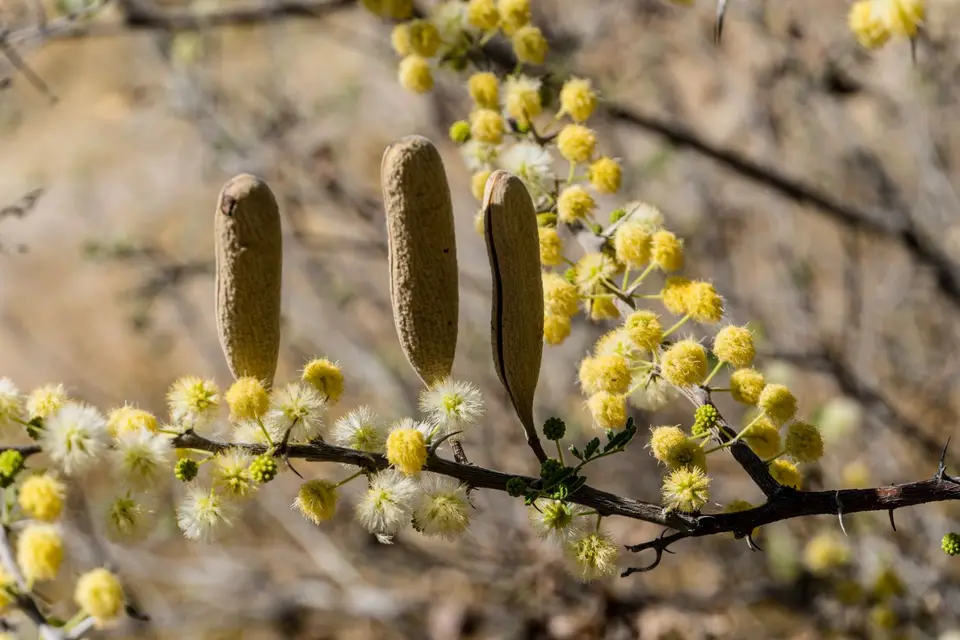 220912019-2.jpg