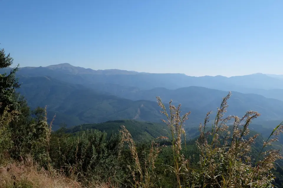 DSCF2141.JPG