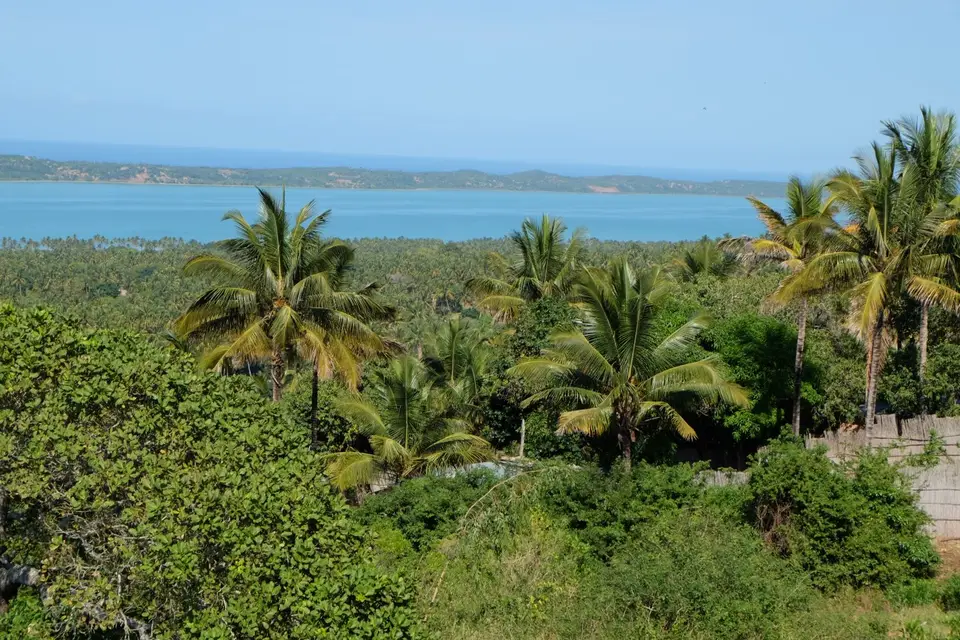 DSCF2906.JPG