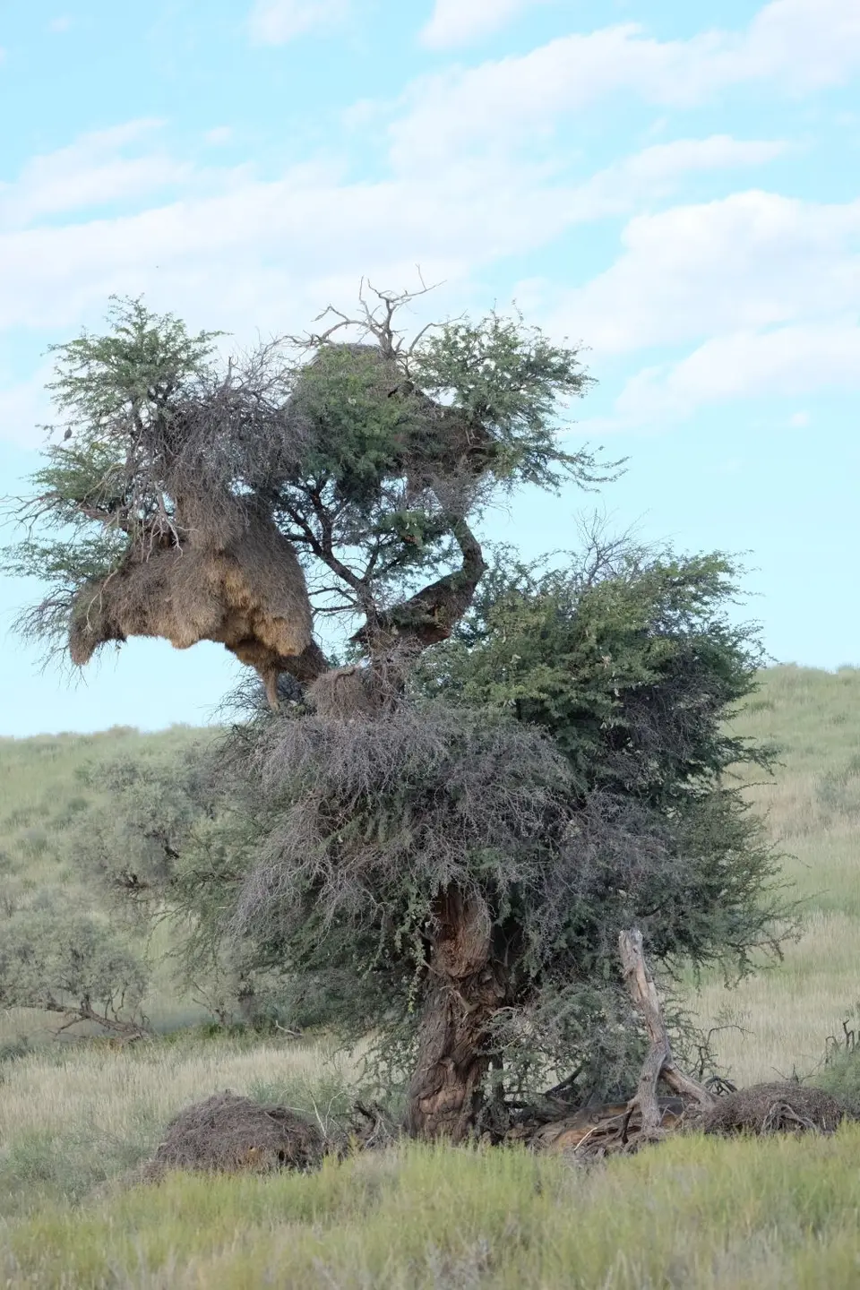 DSCF4193.JPG