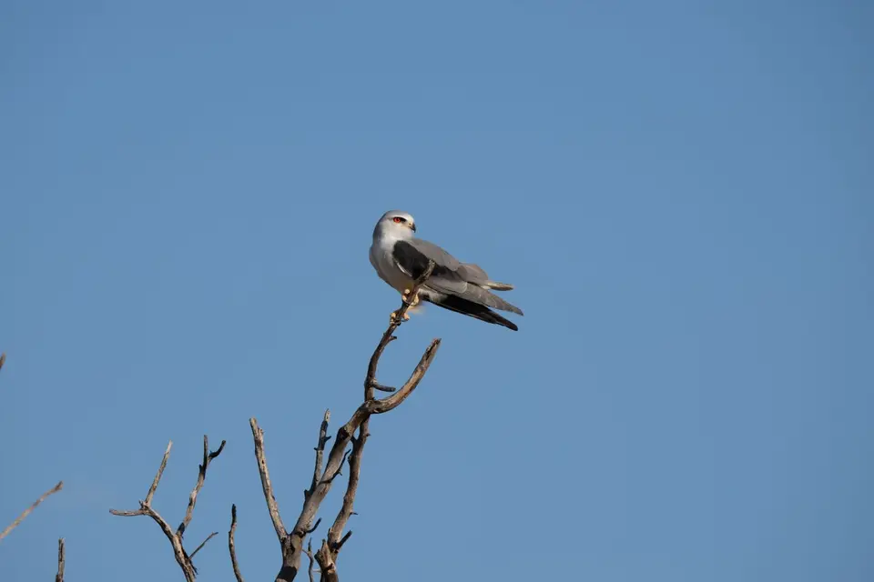 DSCF4508.JPG