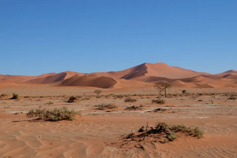 DSCF4718.JPG