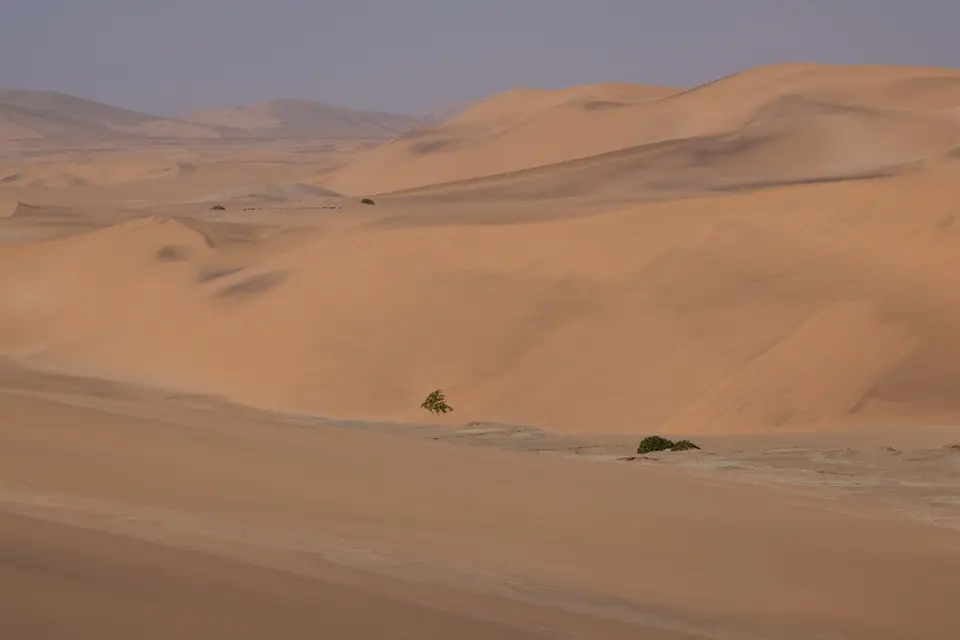 DSCF4823.JPG