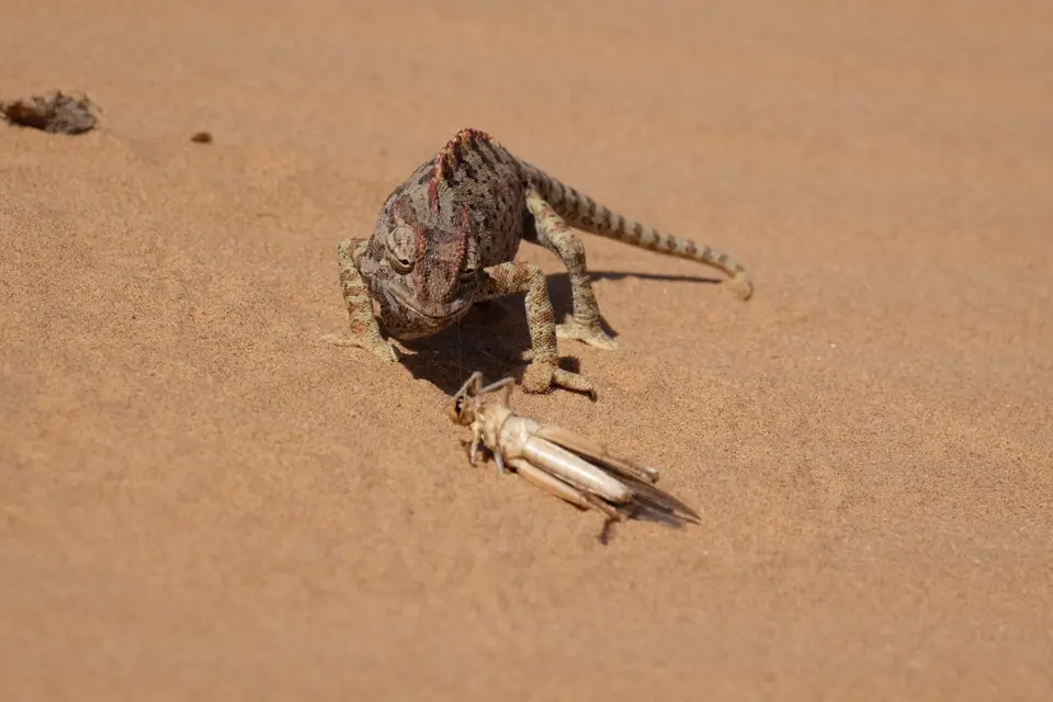 DSCF4850.JPG