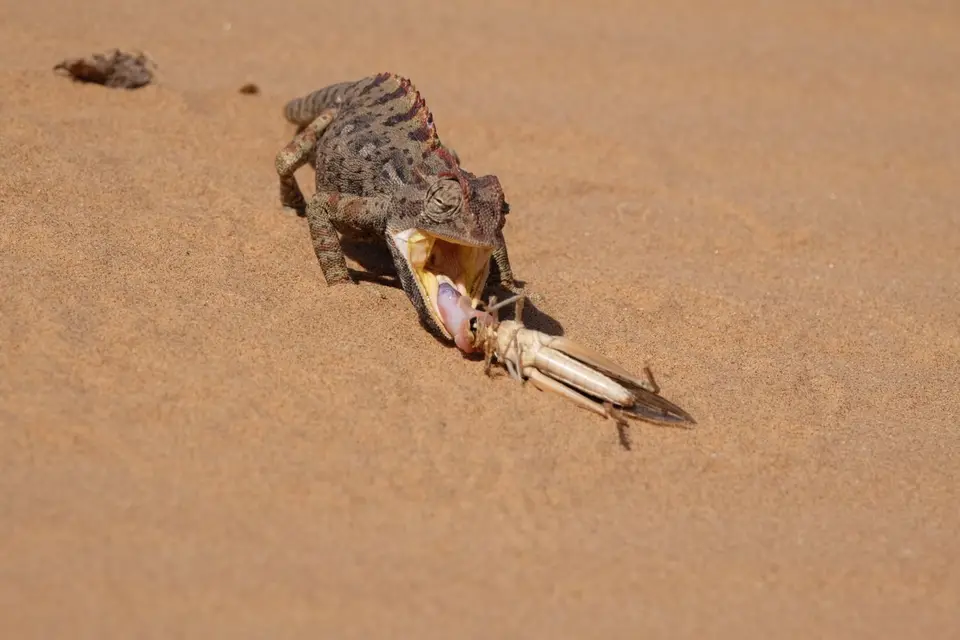 DSCF4854.JPG