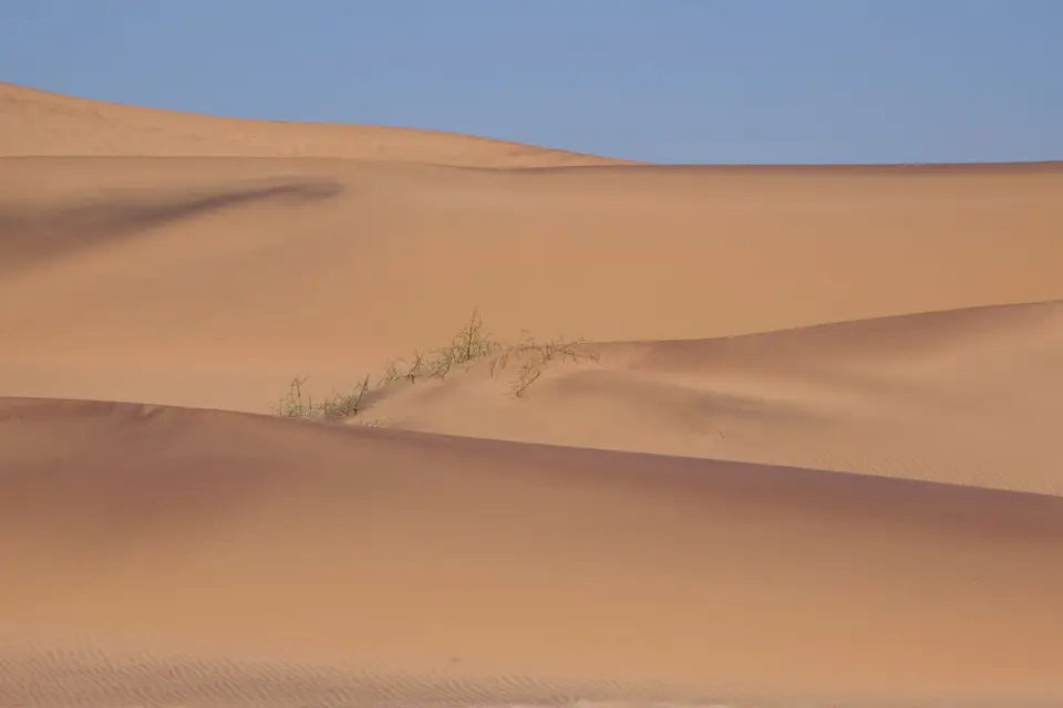 DSCF4908.JPG