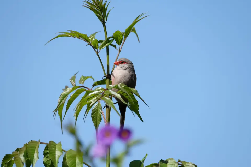 DSCF4920.JPG