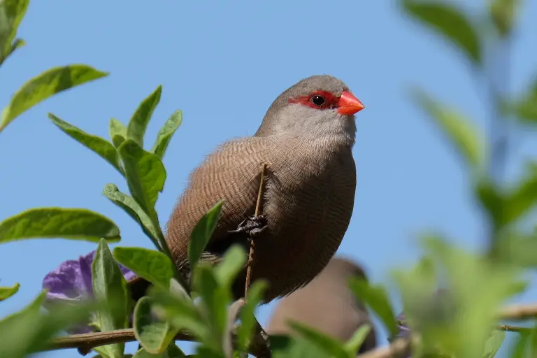 DSCF4932.JPG