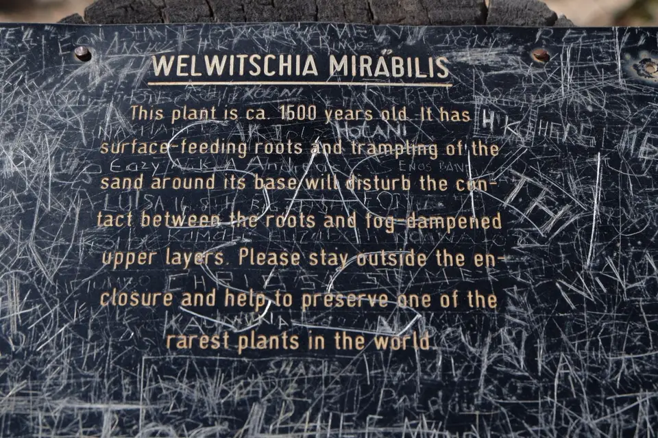 DSCF4975.JPG