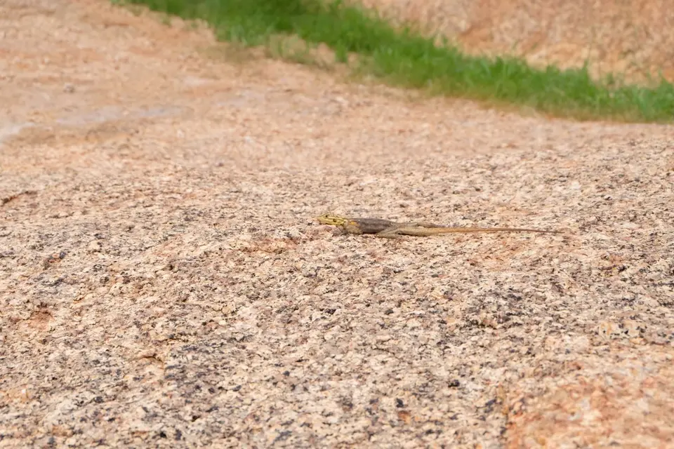DSCF5005.JPG