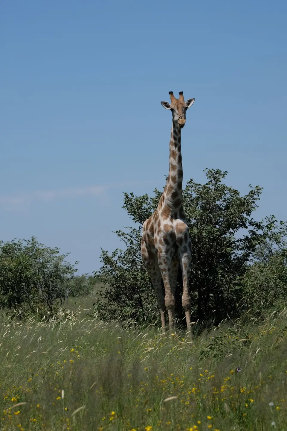 DSCF5119-2.JPG