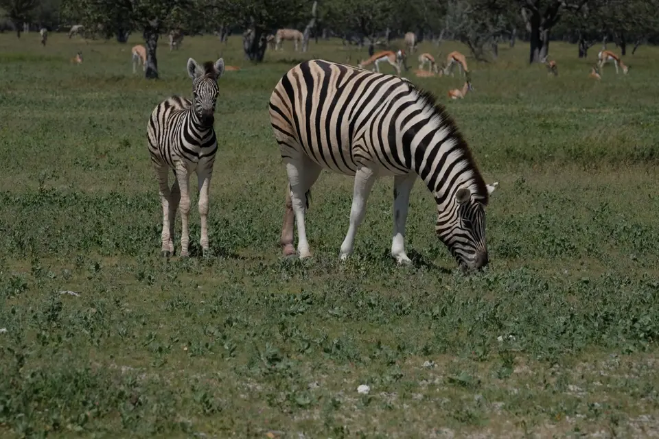 DSCF5173.JPG