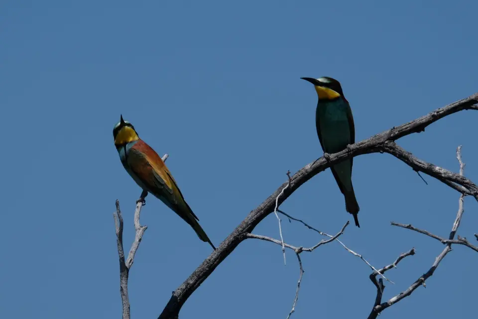 DSCF5225.JPG