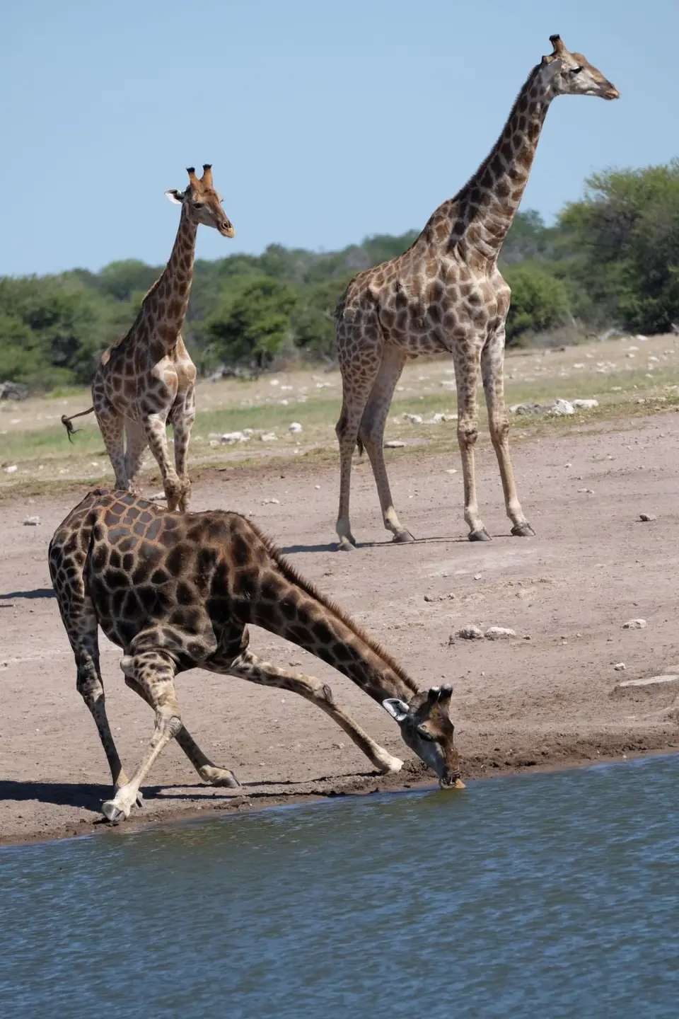DSCF5246.JPG