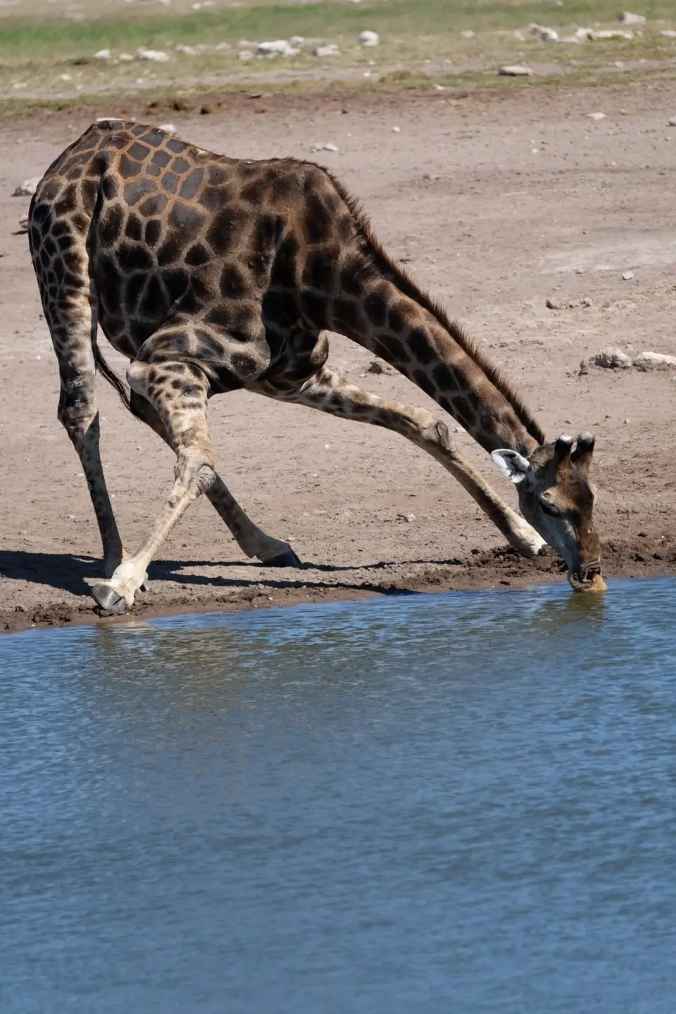 DSCF5250.JPG