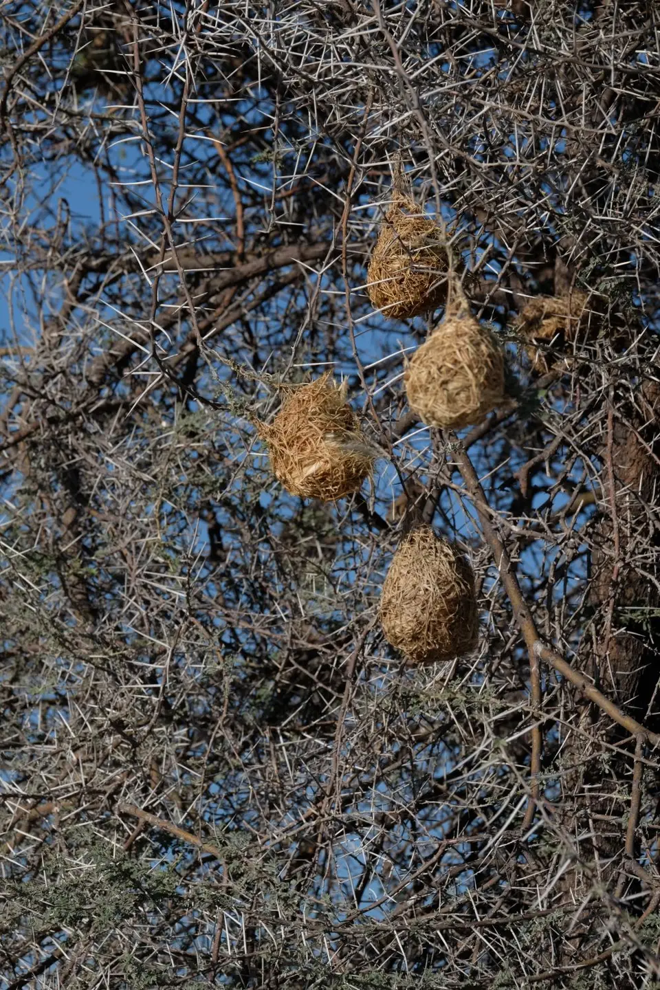 DSCF5313.JPG