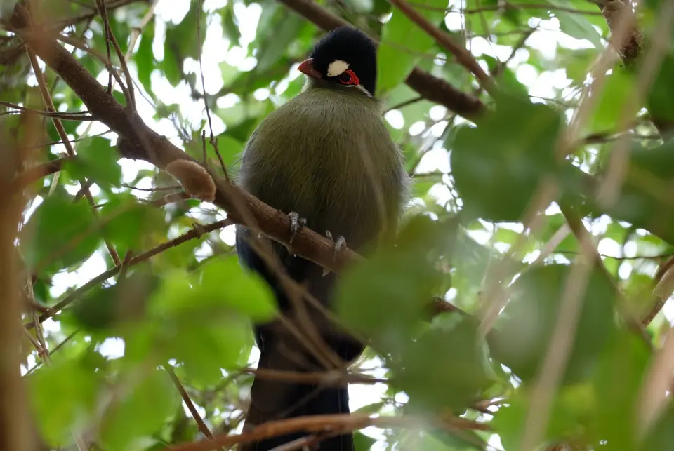 DSCF7887.JPG