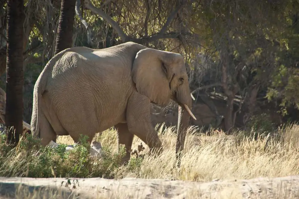 150Namibia2011_07_20.jpg
