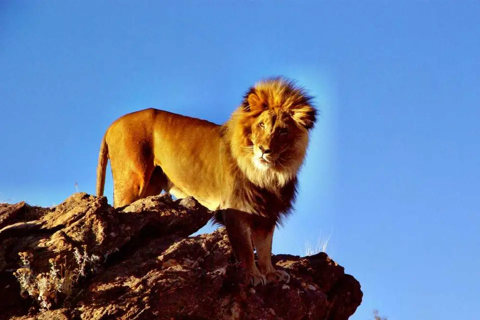 2007Namibia-5.jpg