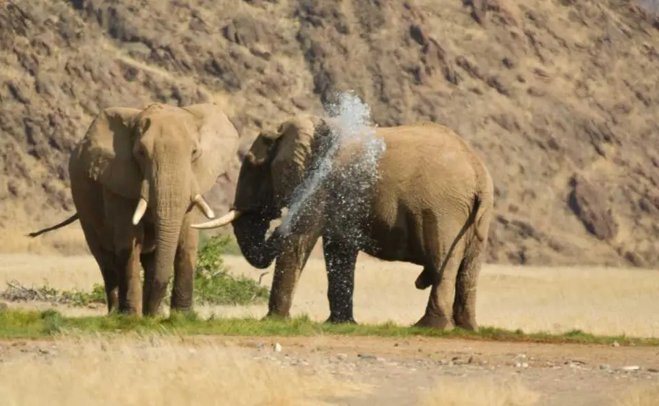 2008Namibia-229.jpg