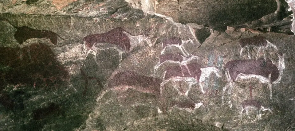 h676604f.jpg