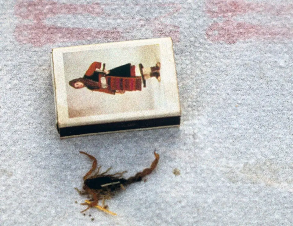 h71e3879.jpg