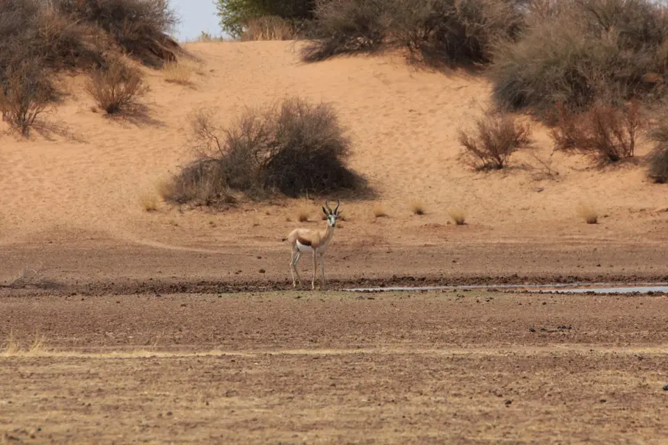 003_2016-Namibia-8895-2.jpg