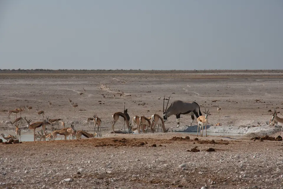 2016-Namibia(535von249).jpg