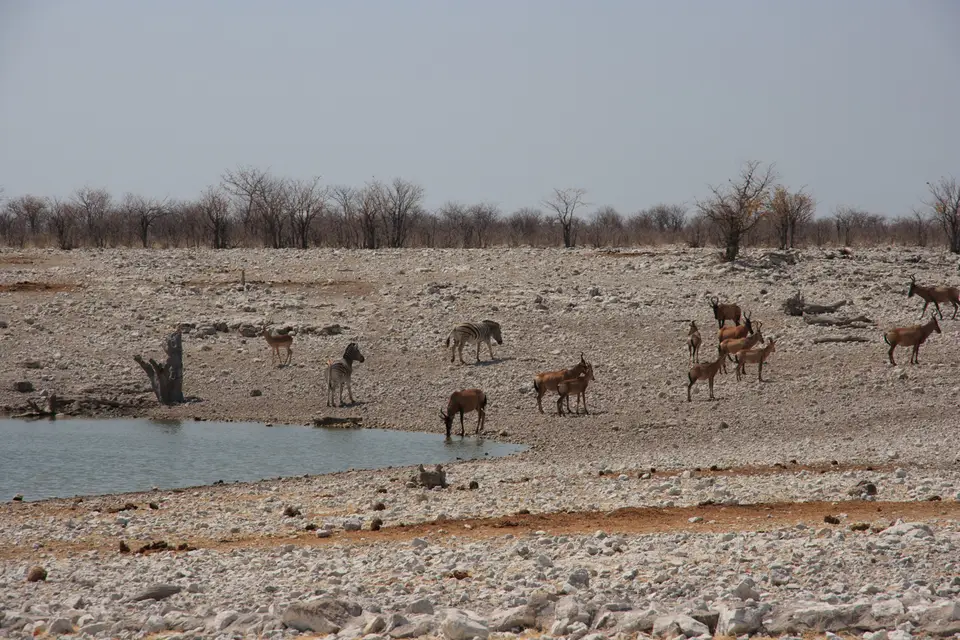2016-Namibia(539von249).jpg