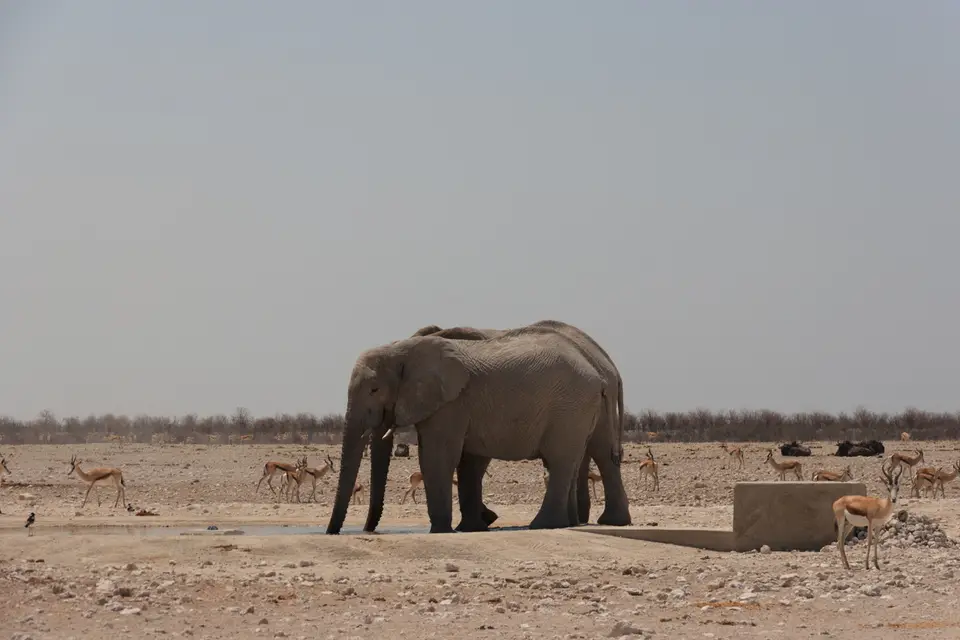 2016-Namibia(541von249).jpg