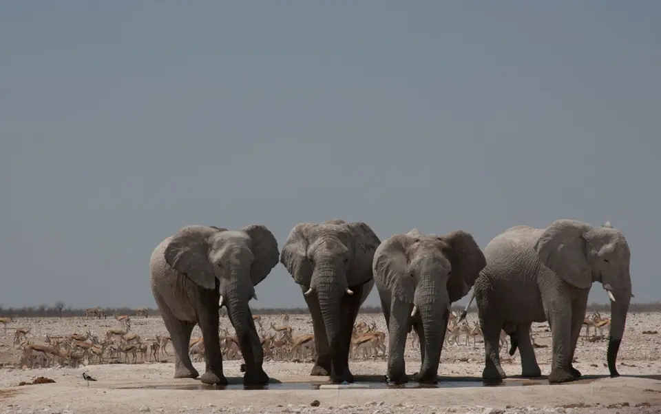 2016-Namibia(543von249).jpg