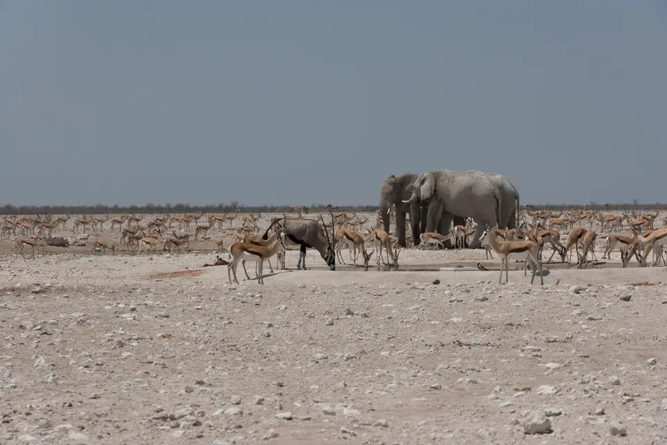 2016-Namibia(544von249).jpg