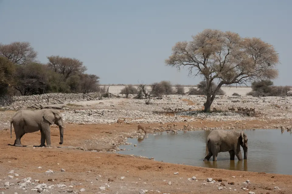 2016-Namibia(546von249).jpg