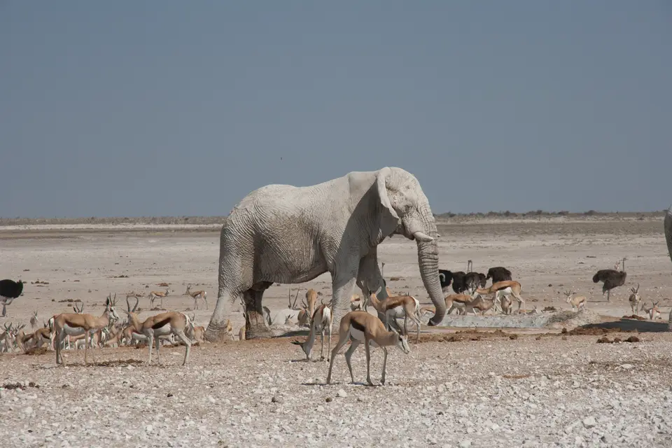 2016-Namibia(551von249).jpg