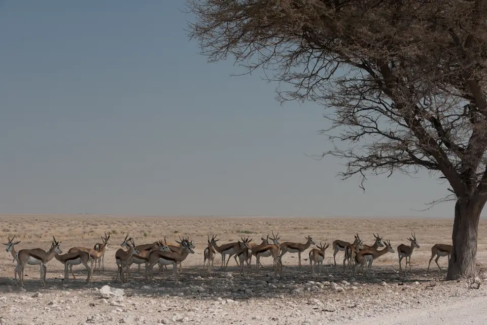 2016-Namibia(555von249).jpg