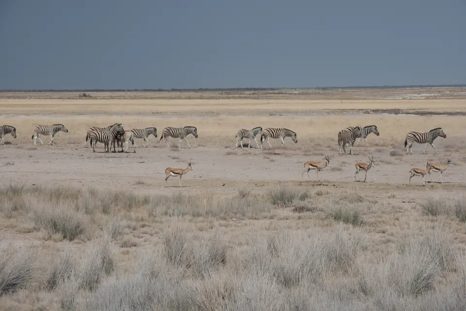 2016-Namibia(581von249).jpg