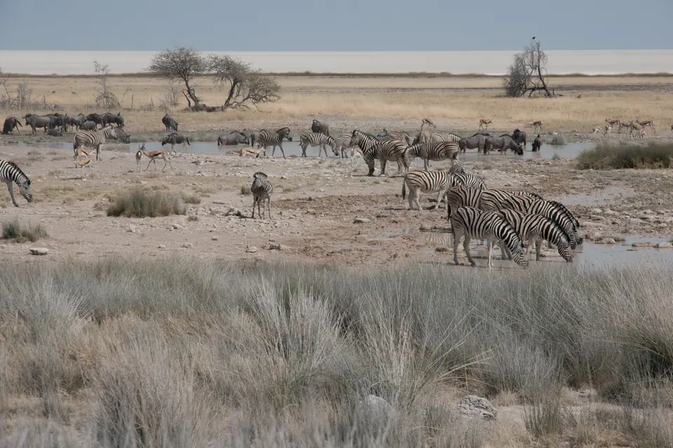 2016-Namibia(582von249).jpg