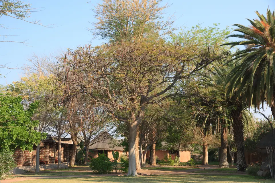 2016-Namibia(596von249).jpg