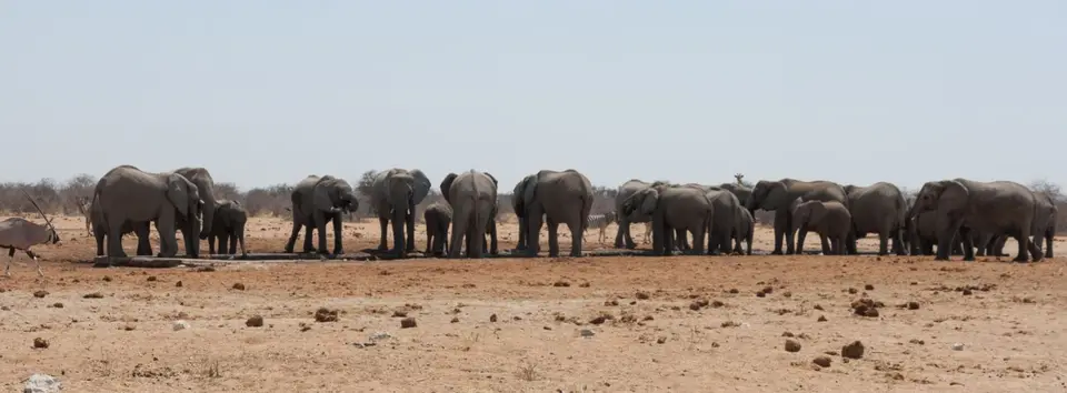 2016-Namibia(618von249).jpg