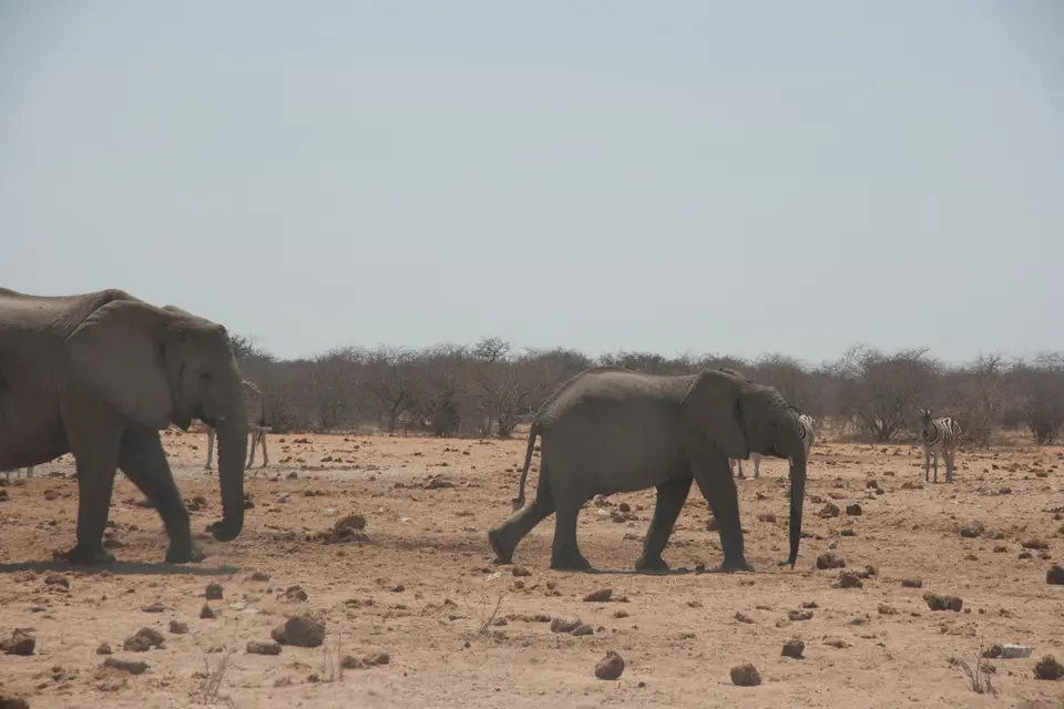 2016-Namibia(622von249).jpg